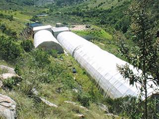 Closed heated systems for tilapia Closed heated systems for tilapia