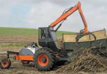 A new look at cane loading