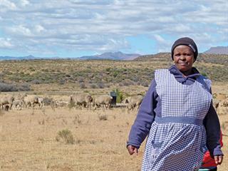 Lessons from a communal wool farmer Lessons from a communal wool farmer