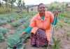 Farmers undeterred by disabilities