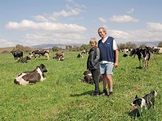 Success with Holsteins – 1 Success with Holsteins – 1