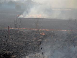 Veld recovery after fire Veld recovery after fire