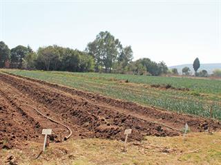 Success with organic farming Success with organic farming