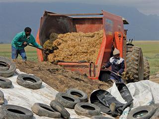Grass Silage: what you put in is what you get out Grass Silage: what you put in is what you get out