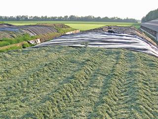 Making grass silage while the sun shines Making grass silage while the sun shines