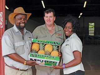 A partnership built on pineapples & a promise A partnership built on pineapples & a promise