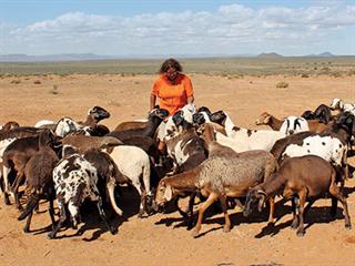 Finding healing and success on a Karoo farm Finding healing and success on a Karoo farm