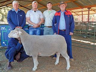 Third joint SA Mutton Merino Production Sale Third joint SA Mutton Merino Production Sale