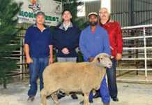 PP Mong Trust Auction