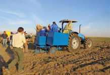 Reapers product launch: sugarcane planter