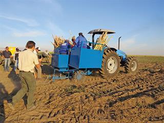 Reapers product launch: sugarcane planter Reapers product launch: sugarcane planter