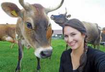 Exploring intuitive farming