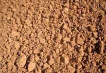 Humus – learn to appreciate it