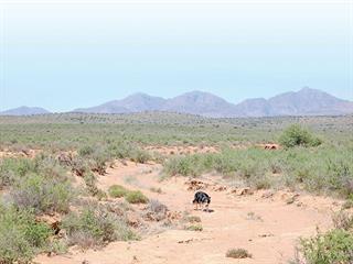 Why off-track driving is bad news for the veld Why off-track driving is bad news for the veld
