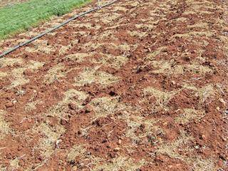 A practical use for no-till farming A practical use for no-till farming