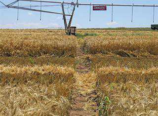 Rotating auto-aligning flotation tracks (RAAFT)