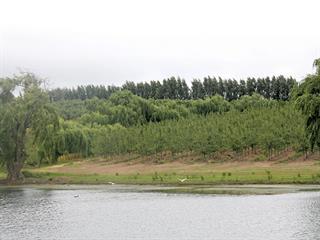 Land reform success for Western Cape fruit farmer Land reform success for Western Cape fruit farmer
