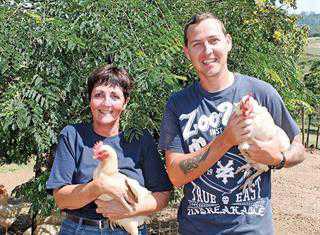 free-range eggs