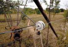 Teamwork: farmers’ strongest weapon against crime