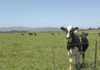 KwaZulu-Natal dairy farmers’ success challenges Issues impeding KwaZulu-Natal dairy farmers
