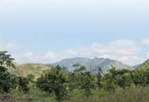 How government fails smallholder farmers