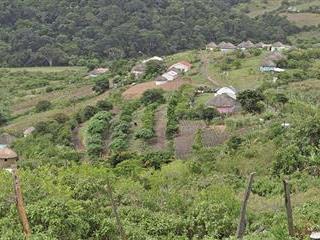 Rural conservation agriculture success story Rural conservation agriculture success story