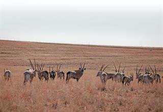 learning how to farm game