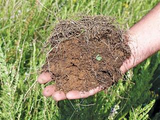 How helping soil life can boost farm profits How helping soil life can boost farm profits