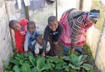 IMIFINO – traditional food with a future