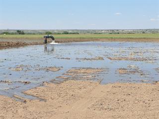 Getting flood irrigation right Getting flood irrigation right