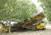 Mechanising pecan production