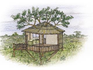 A tree house design A tree house design