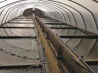 Aquaculture: claims vs reality Aquaculture: claims vs reality