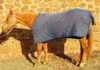 Keeping your horse warm