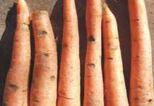 Getting to the bottom of cavity spot mysteries