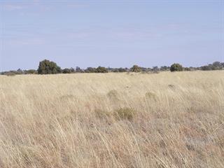 Increase profits with scientific pasture management Increase profits with scientific pasture management