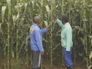 Measuring soil Nitrogen status Measuring soil Nitrogen status