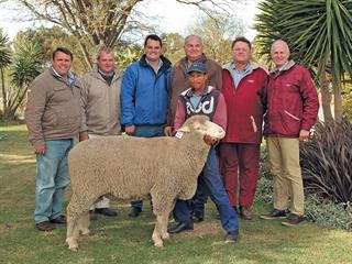Weska Dohne Merino Annual Sale Weska Dohne Merino Annual Sale