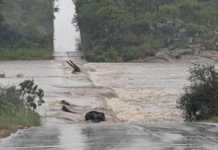 Western Cape farmers count their losses after flooding