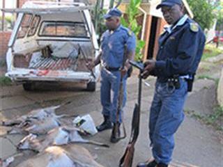 KZN SAPS arrests nine suspects for poaching KZN SAPS arrests nine suspects for poaching