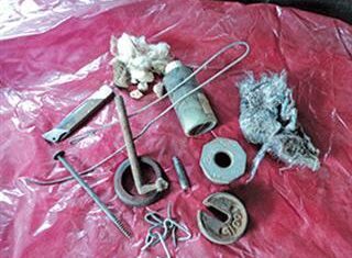 Time to get paranoid about shearing shed hygiene
