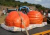 The biggest pumpkin of all