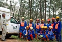 Timber projects tackle unemployment