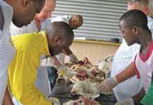 A poultry case study