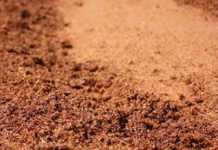 Rooibos industry a step closer to trademark