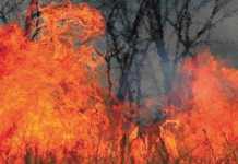 14km wide veld fire raging outside from Fouriesburg