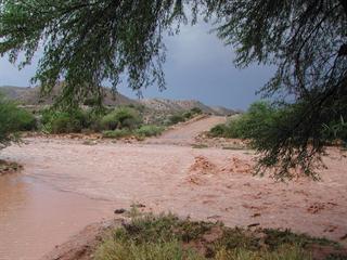 Western Cape rains cause massive financial losses Western Cape rains cause massive financial losses