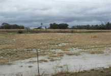 Good rains fall in the Free State