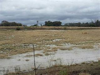 Good rains fall in the Free State