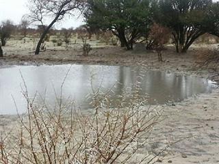 Heavy rains break North West drought Heavy rains break North West drought